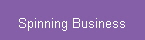 Spinning Business
